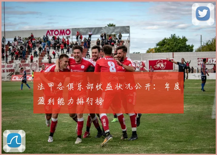 法甲各俱乐部收益状况公开：年度盈利能力排行榜