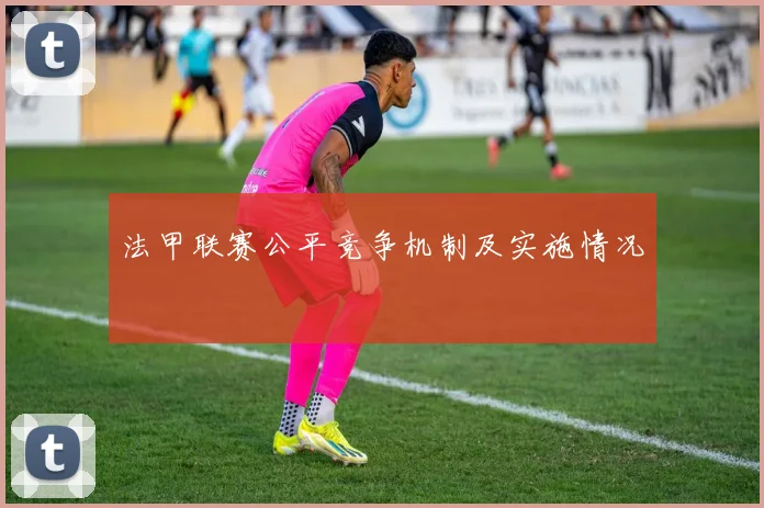 法甲联赛公平竞争机制及实施情况