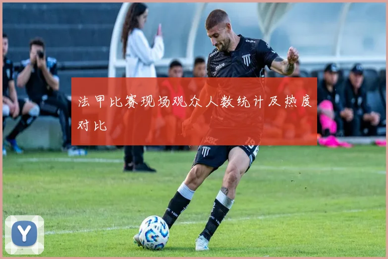 法甲比赛现场观众人数统计及热度对比