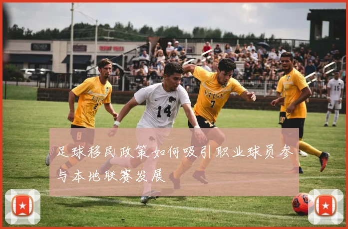 足球移民政策如何吸引职业球员参与本地联赛发展
