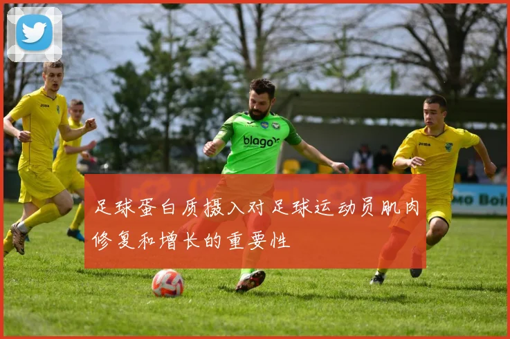 足球蛋白质摄入对足球运动员肌肉修复和增长的重要性